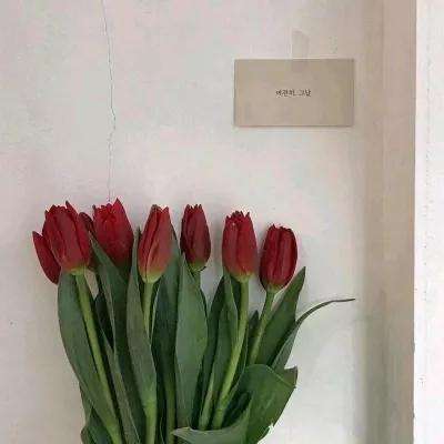 半岛综合体育APP