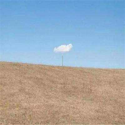 722cc大发彩神app下载